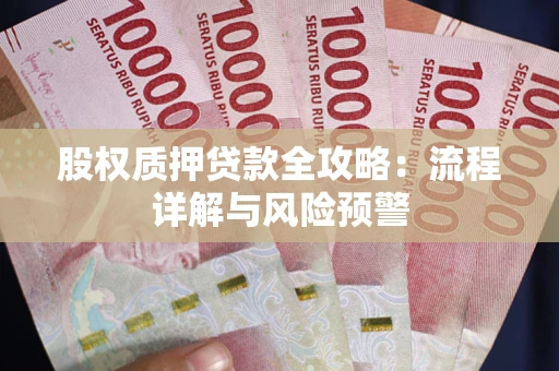 北京股权质押贷款全攻略：流程详解与风险预警