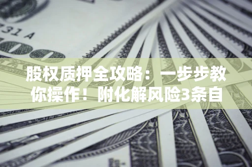 北京股权质押全攻略：一步步教你操作！附化解风险3条自救法则